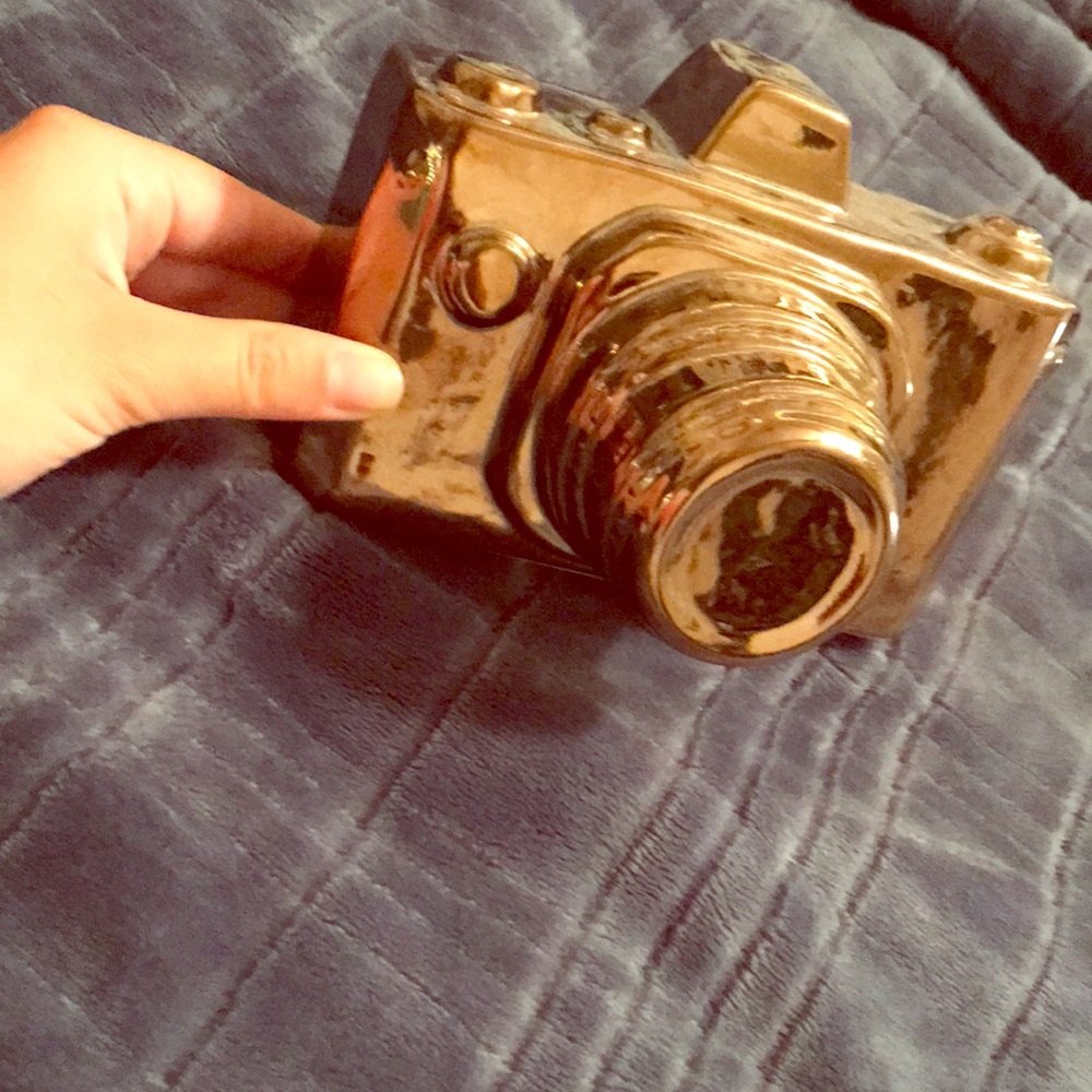 Bronzy camera decor